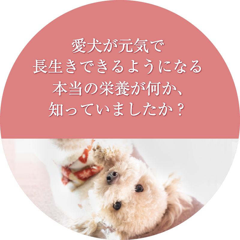 楽天市場】○PetKind/ペットカインド トライプドライ SAP