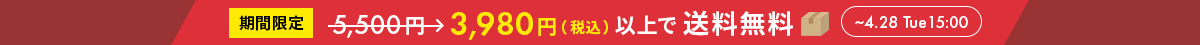お買上金額3,980円以上で送料無料