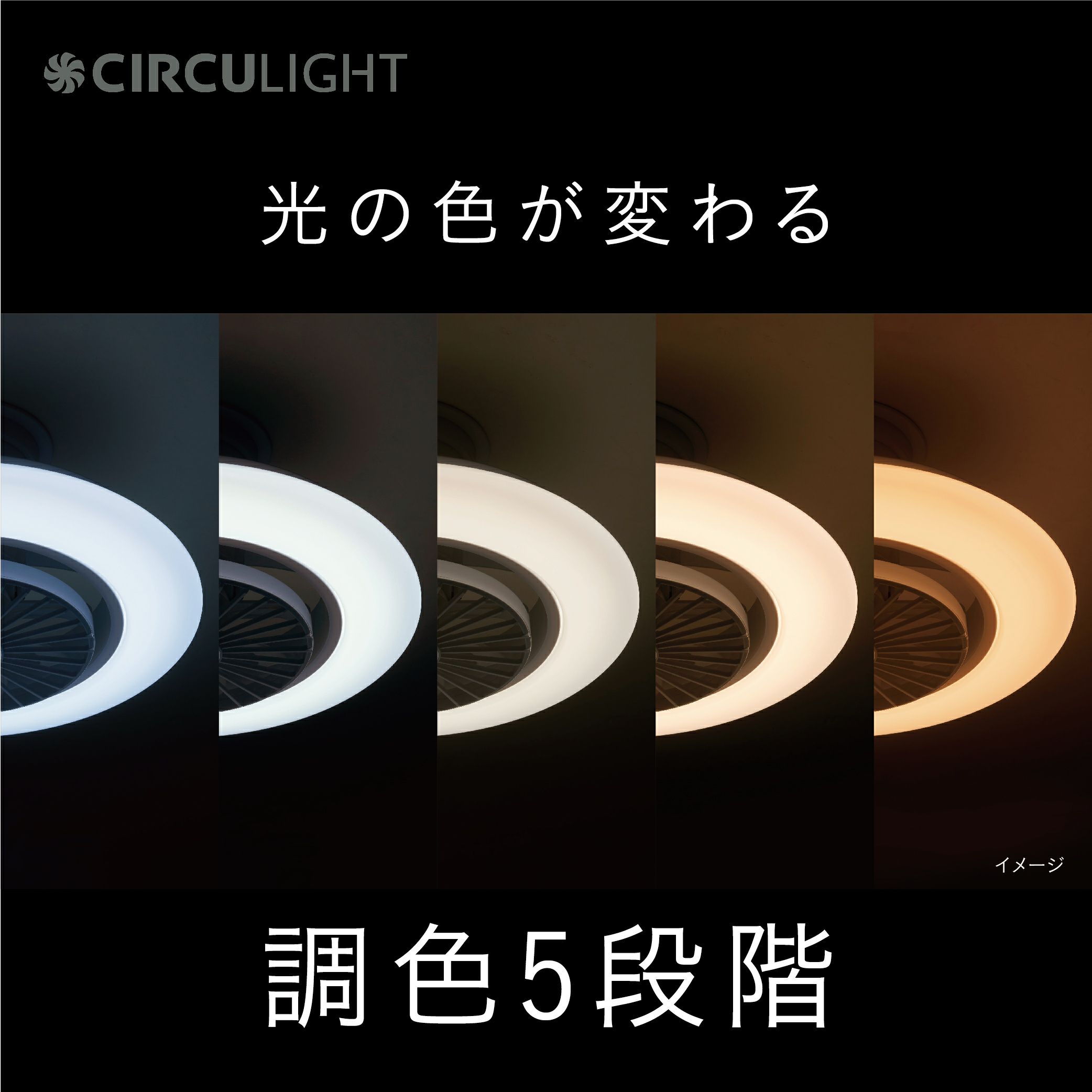 春フェア》【5月中旬より順次発送予定】CIRCULIGHT(サーキュライト) EZ  
