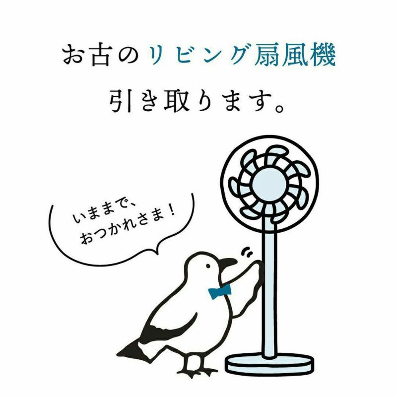Kamomefan+c lite シャンパンゴールド K-F25AYCGD【KA