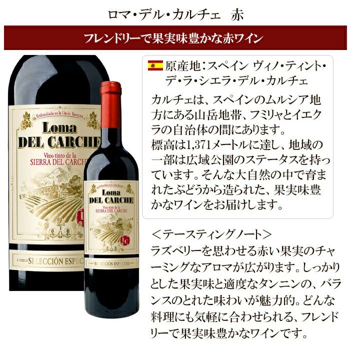 5か国厳選トリプルナイン赤ワイン13本セット【FD】 | DOSHISHA Marche