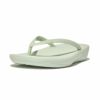 fitflop(フィットフロップ) IQUSHION ERGONOMIC FLIP-FLOPS E54【BZ】