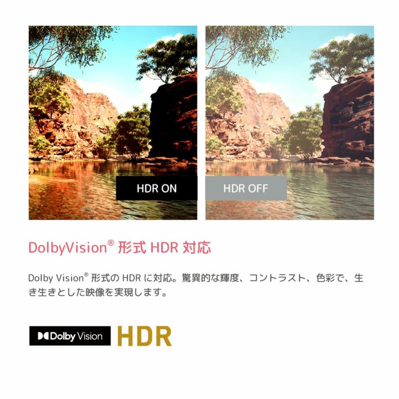 春フェア》ORION(オリオン) GoogleTV搭載 スマートテレビ 55v型