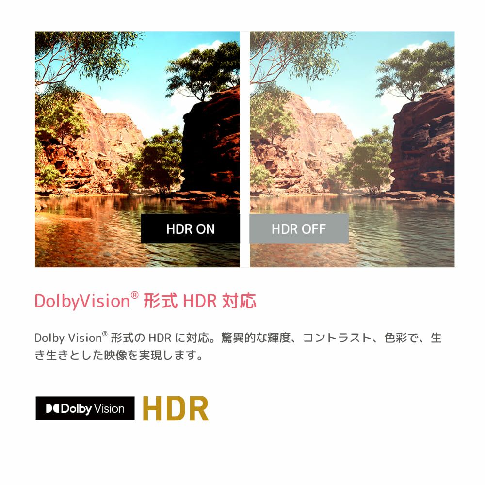 ORION(オリオン) GoogleTV搭載 スマートテレビ 55v型 4K対応 OLS55RD10 