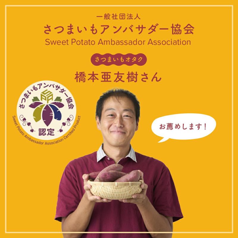 焼き芋メーカー BakeFree(ベイクフリー) WFA-121BK【KA】 | DOSHISHA